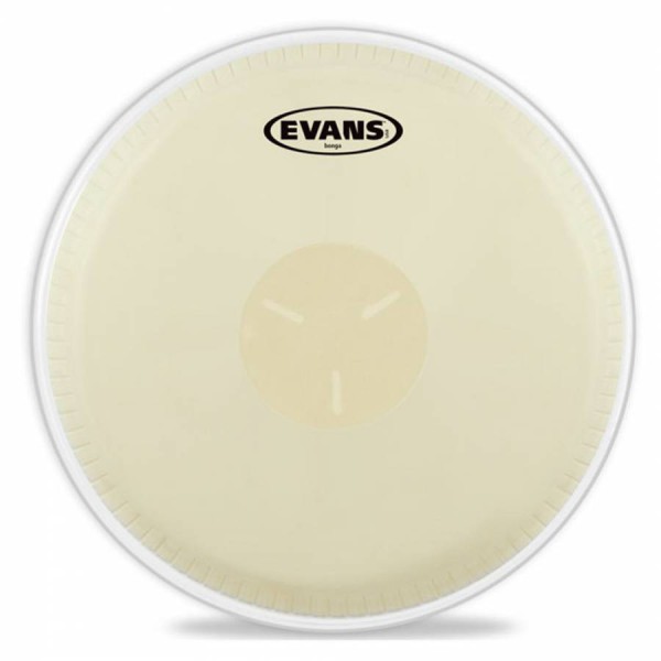 Evans EB0709 Bongo Derisi