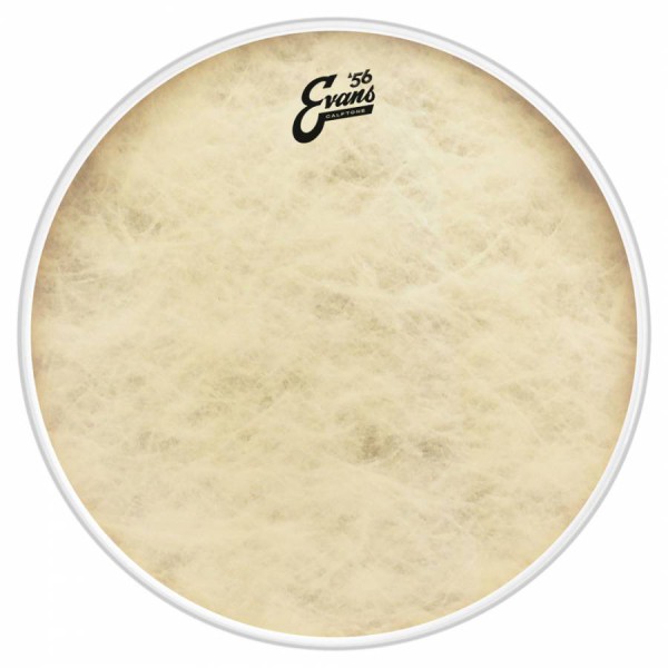 Evans BD18CT 18 Inc Kick Derisi