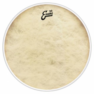 Evans BD16CT 16 Inc Kick Derisi
