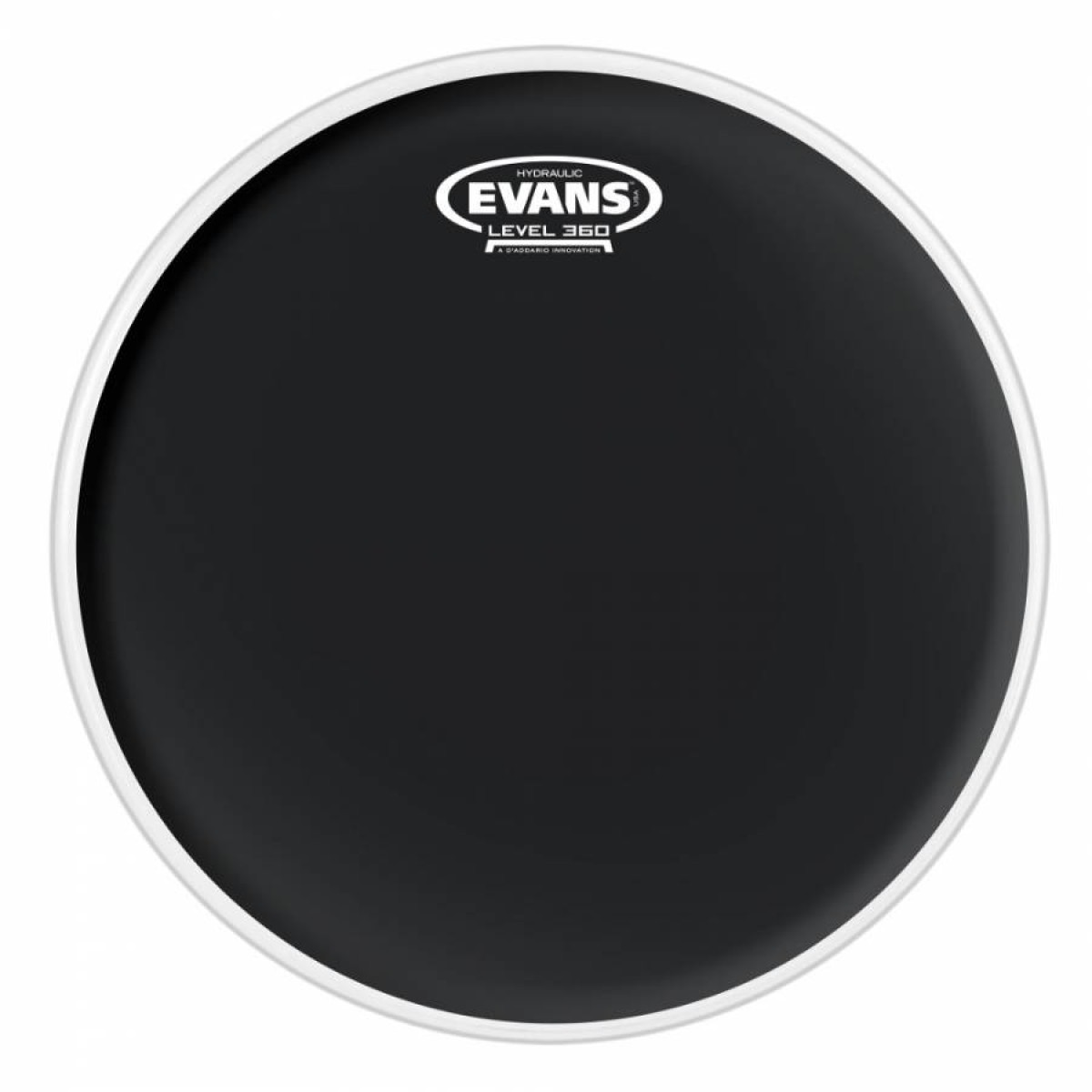 Evans B14HBG 14 Inc Trampet Derisi