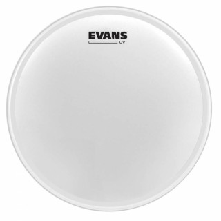 Evans B12UV1 12 Inc Tom Derisi