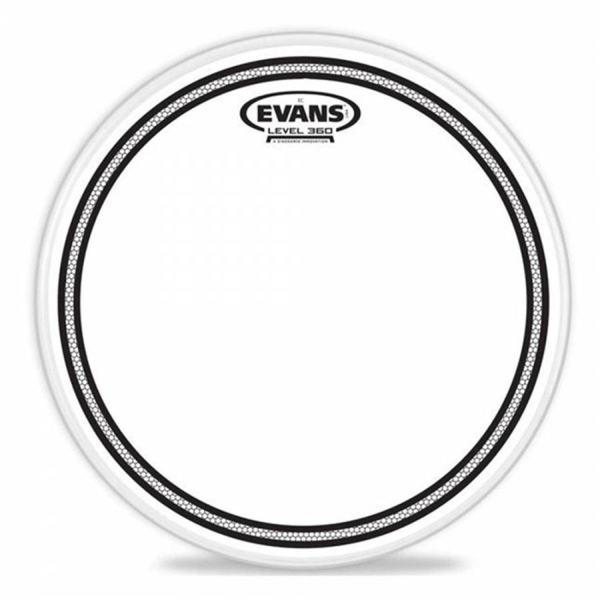 Evans B10ECS 10 Inc Kumlu Trampet Derisi