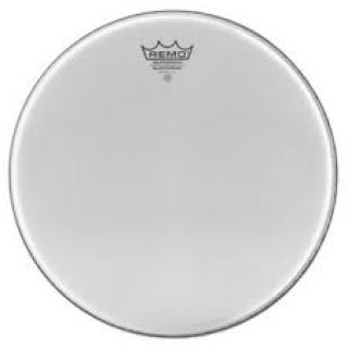 Remo Silentstroke 10 İnç Mesh Deri