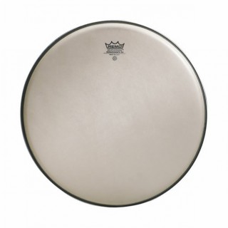 Remo ProPack Set (10'' - 12 '' - 14 '')