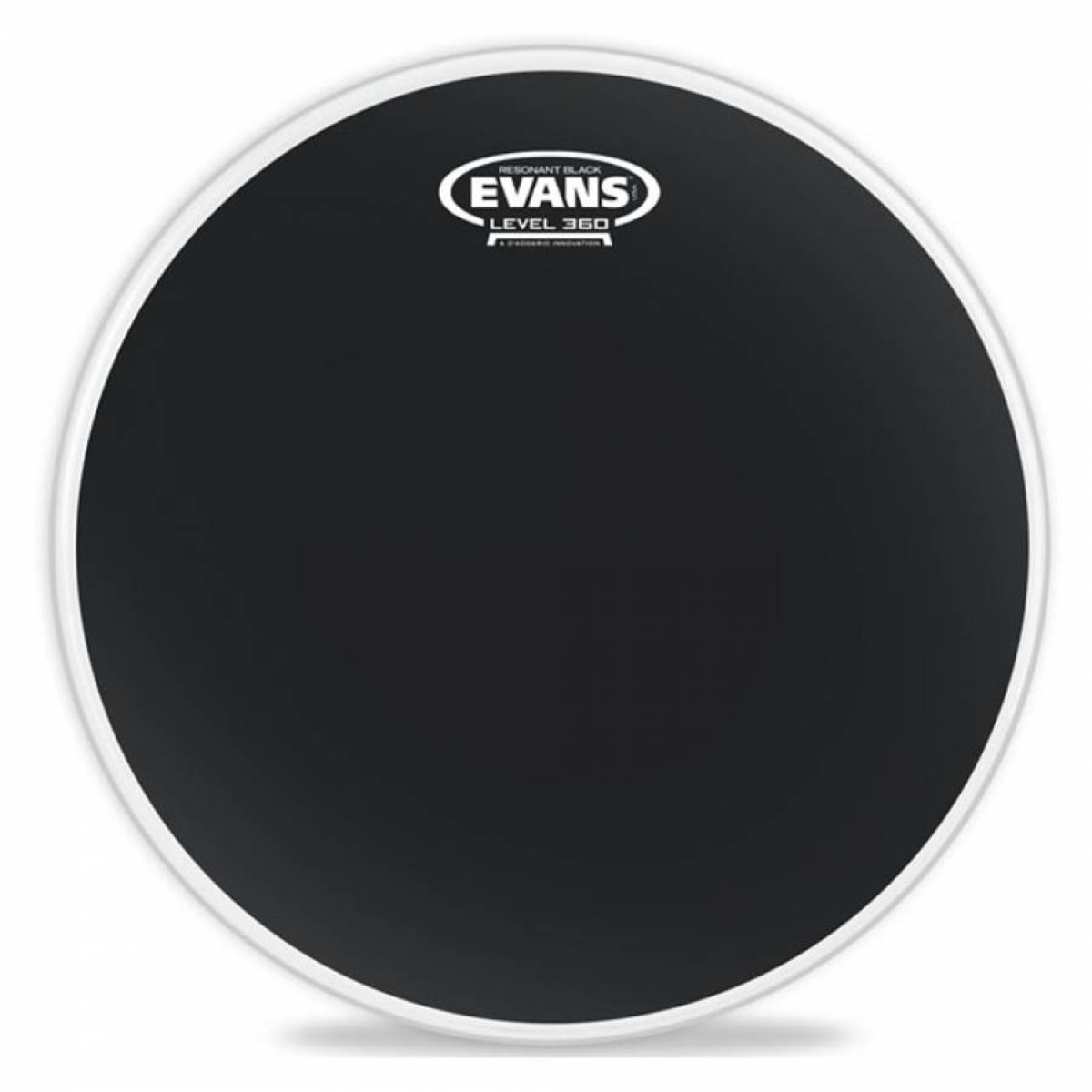 Evans TT08RBG 8 Inc Tom Derisi