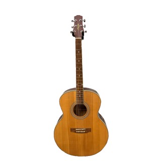 Ashton J395 Solid Top Jumbo akustik gitar