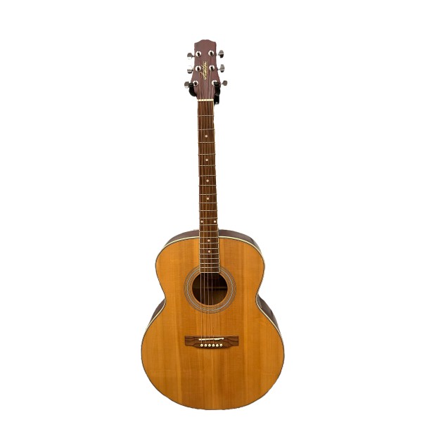 Ashton J395 Solid Top Jumbo akustik gitar