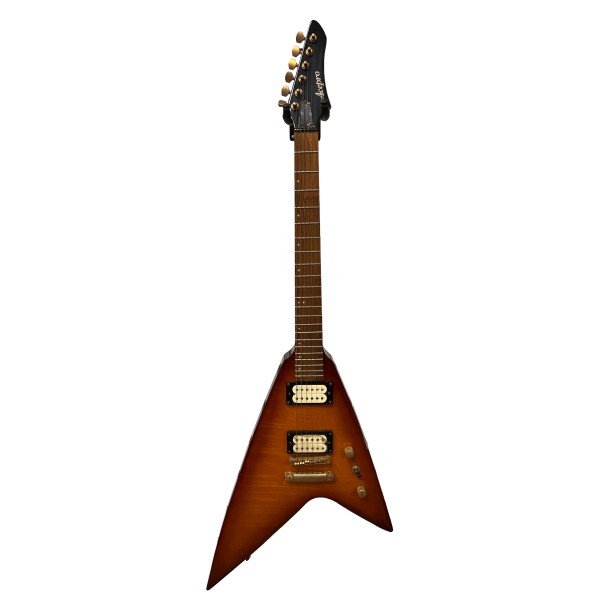 [OUTLET] Acepro Elektro Gitar
