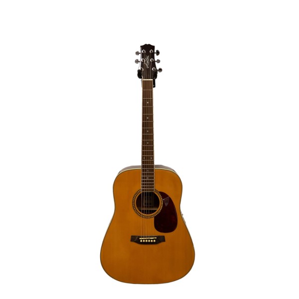 [OUTLET] EPIPHONE EMECNANH3 MASTERBILT DR-500MCE  (22-147)