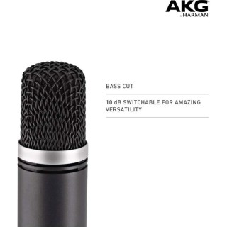 C1000S Yüksek Performanslı Küçük Diyaframlı Kondenser Mikrofon