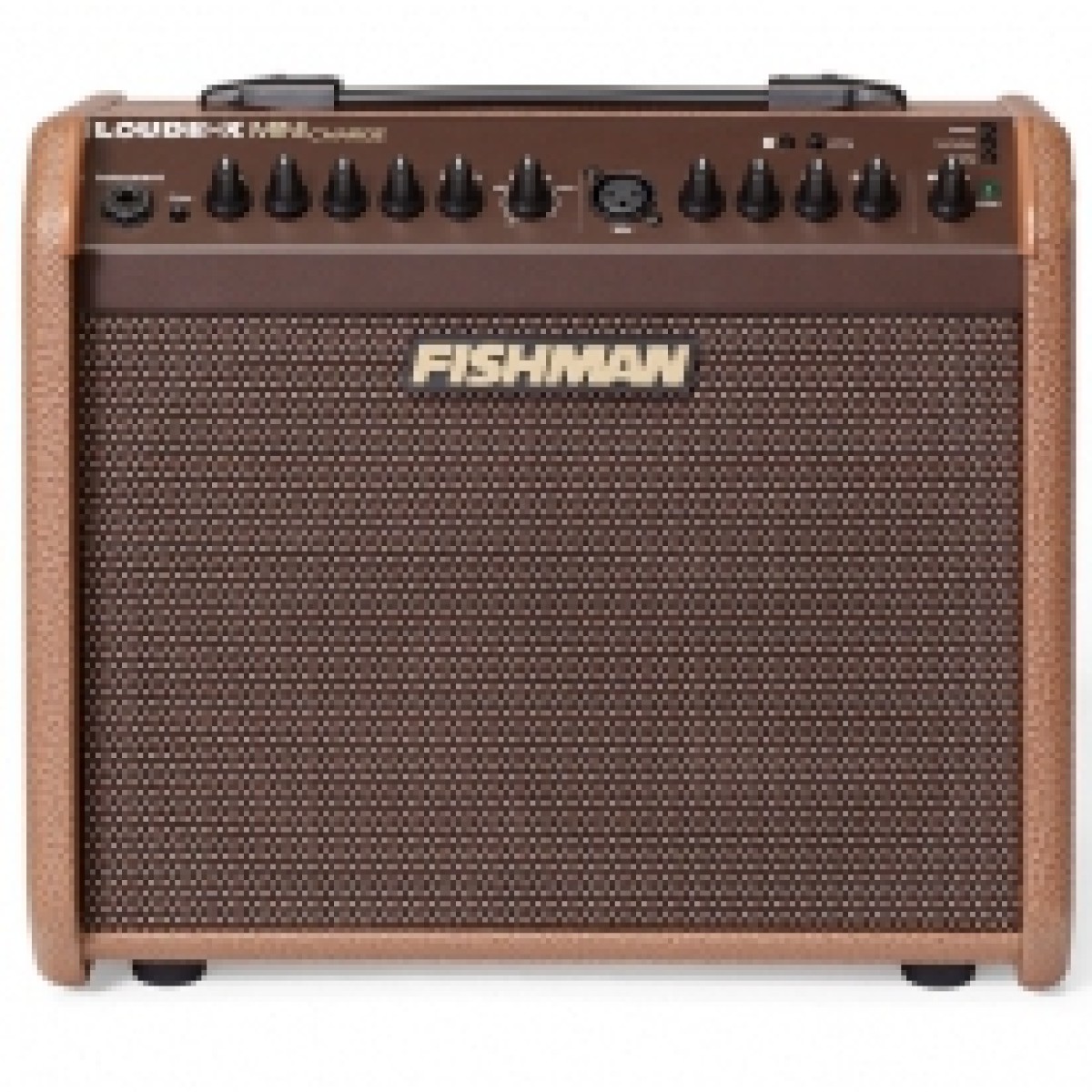 Fishman Loudbox Mini Charge Akustik Gitar Amfi