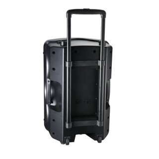 LEOPART LE-3412/P - 12 inç 2 Yollu 300W Pasif Hoparlör