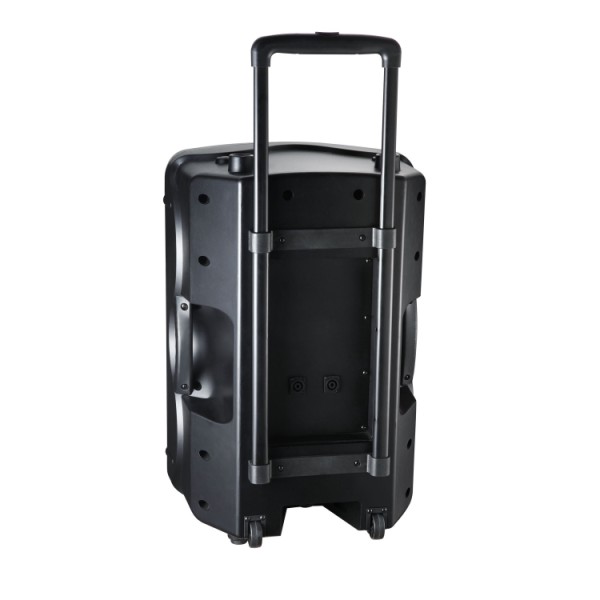 LEOPART LE-3412/P - 12 inç 2 Yollu 300W Pasif Hoparlör