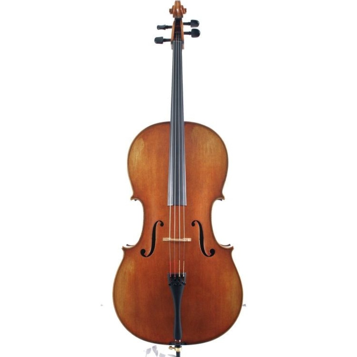 VANETTA WN-19 4/4 Mat Çello