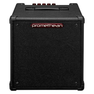 Ibanez P20-U 20W Kombo Bas Gitar Amfisi
