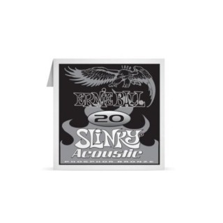 ERNIE BALL P01820 .020 Earthwood Fosfor Bronz Sargılı Akustik (Tek Tel)