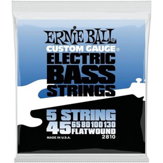 Ernie Ball P02810 Flat 45-130 (5 Telli) Bas Gitar Teli