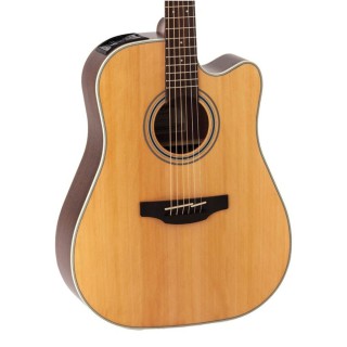 Takamine GD20CE-NS TP4-TD Elektro Akustik Gitar
