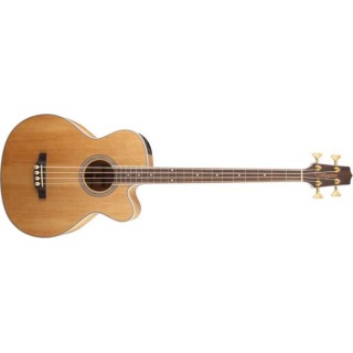 Takamine GB72CE-NAT Akustik Bas Gitar
