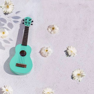 Kozmos KUK-102-GN Soprano Ukulele Yeşil Kozmos KUK-102-GN Soprano Ukulele Yeşil