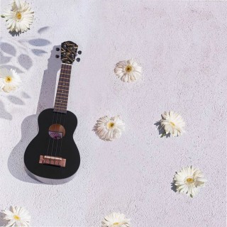 Kozmos KUK-102-BK Soprano Ukulele Siyah Kozmos KUK-102-BK Soprano Ukulele Siyah