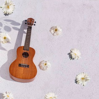 Kozmos KUK-TGL300 / Tenor Ukulele Kozmos KUK-TGL300 / Tenor Ukulele