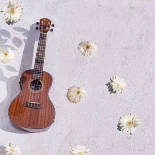 Kozmos KUK-CGLE300 Elektro Concert Ukulele (Çanta Dahil) Kozmos KUK-CGLE300 Elektro Concert Ukulele (Çanta Dahil)