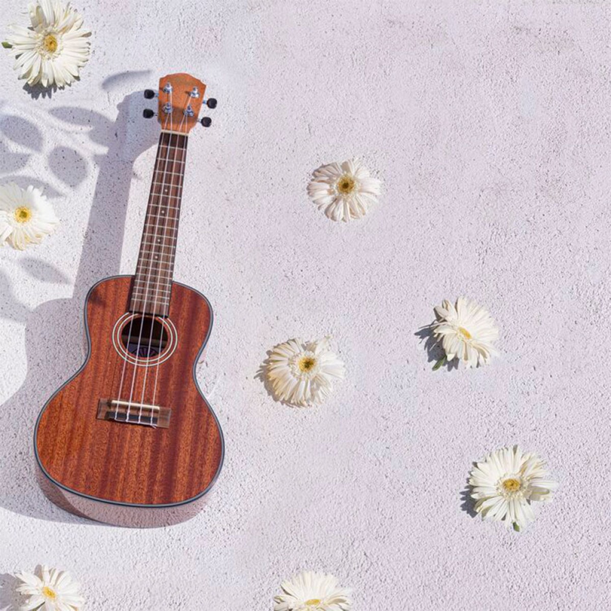 Kozmos KUK-CGL300 / Concert Ukulele (Çanta Dahil) Kozmos KUK-CGL300 / Concert Ukulele (Çanta Dahil)