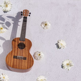 Kozmos KUK-110C Concert Ukulele (Çanta Dahil) Kozmos KUK-110C Concert Ukulele (Çanta Dahil)