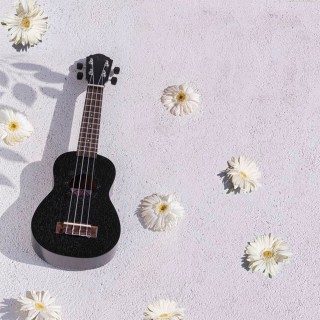 Kozmos KUK-110BST / Soprano Ukulele Kozmos KUK-110BST / Soprano Ukulele