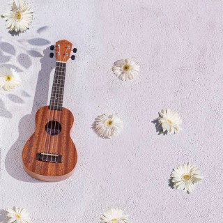 Kozmos KUK-110EXA / Soprano Ukulele Kozmos KUK-110EXA / Soprano Ukulele