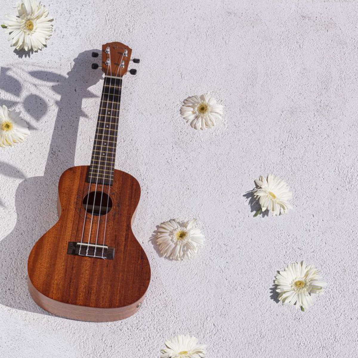 Kozmos KUK-CE Elektro Concert Ukulele (Çanta Dahil) Kozmos KUK-CE Elektro Concert Ukulele (Çanta Dahil)