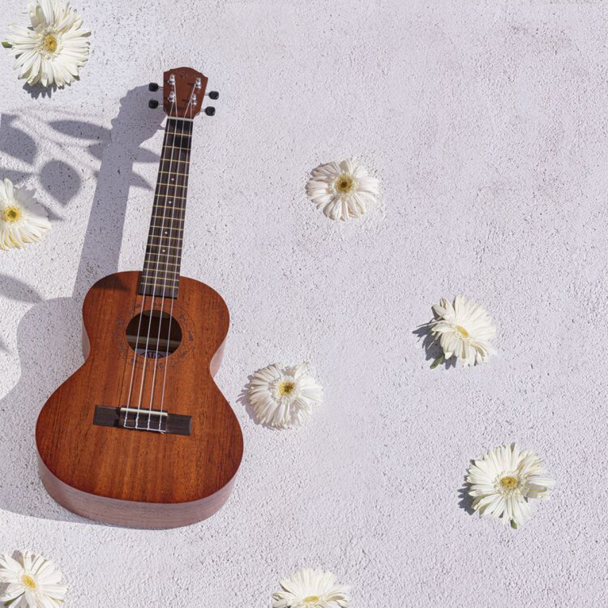 Kozmos KUK-C / Concert Ukulele (Çanta Dahil) Kozmos KUK-C / Concert Ukulele (Çanta Dahil)