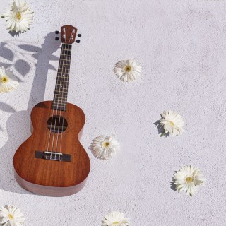 Kozmos KUK-C / Concert Ukulele (Çanta Dahil) Kozmos KUK-C / Concert Ukulele (Çanta Dahil)