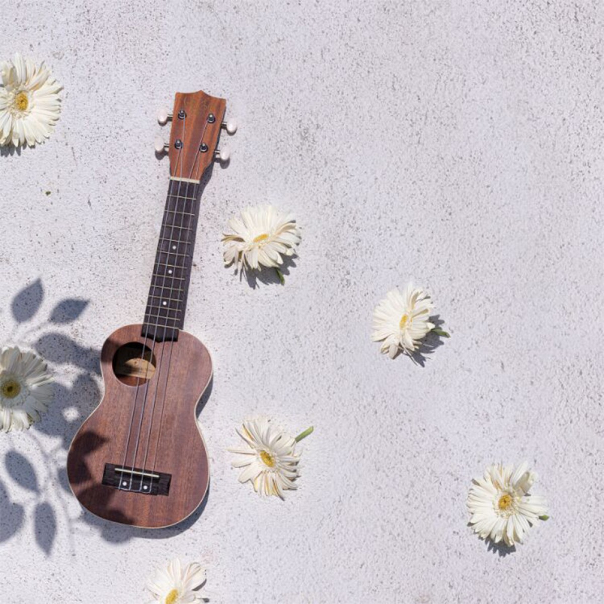 VEGO UK-3 / Soprano Ukulele VEGO UK-3 / Soprano Ukulele