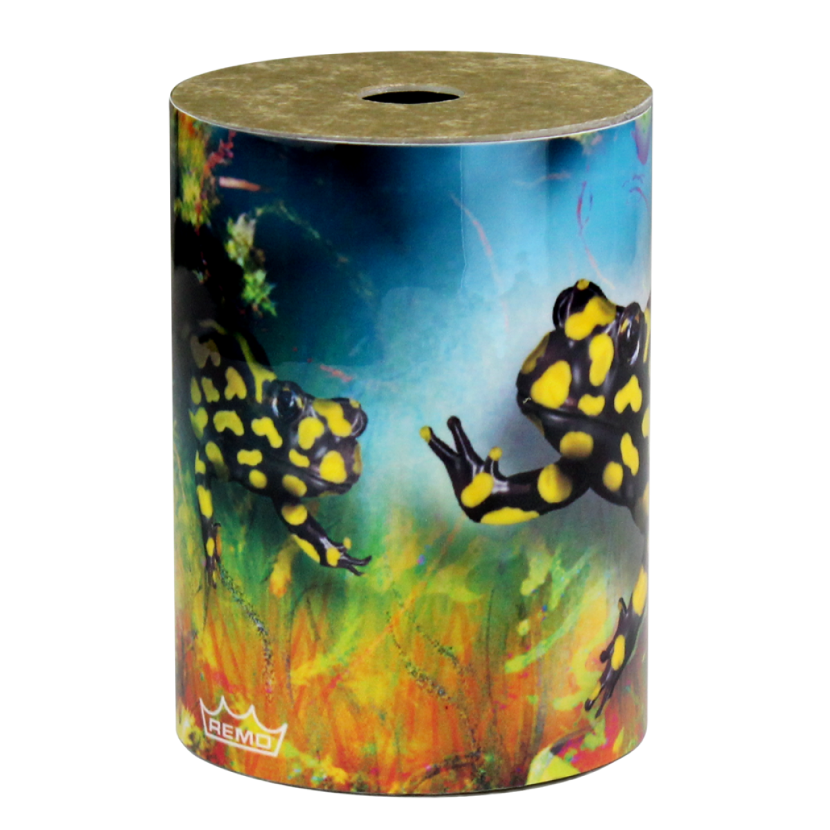 REMO SR-0203-28- Corroboree FX Shaker