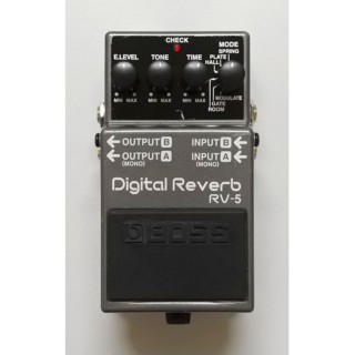 Rv-5 Digital Reverb Pedalı