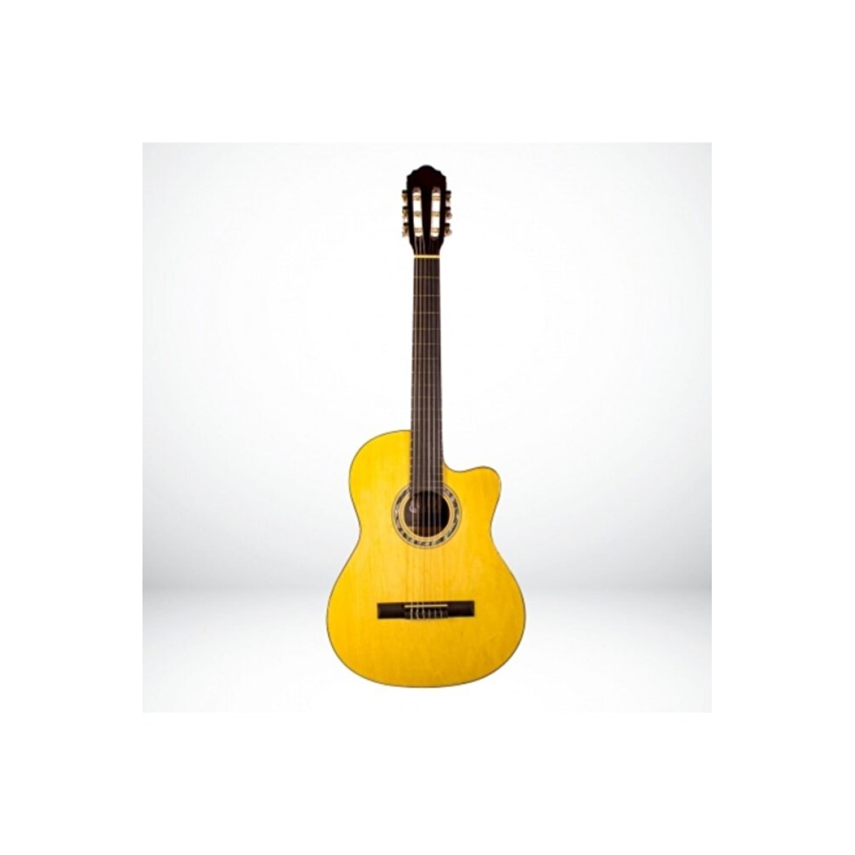 Lc3900nt Klasik Gitar + Kılıf Hediyeli