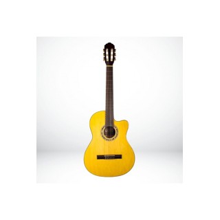 Lc3900nt Klasik Gitar + Kılıf Hediyeli
