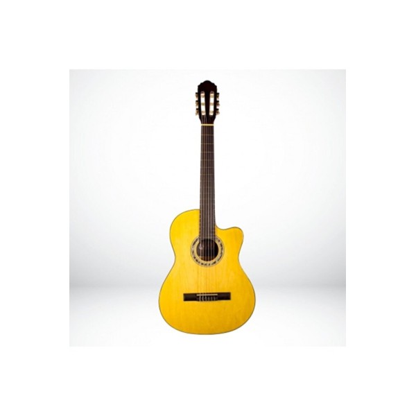 Lc3900nt Klasik Gitar + Kılıf Hediyeli